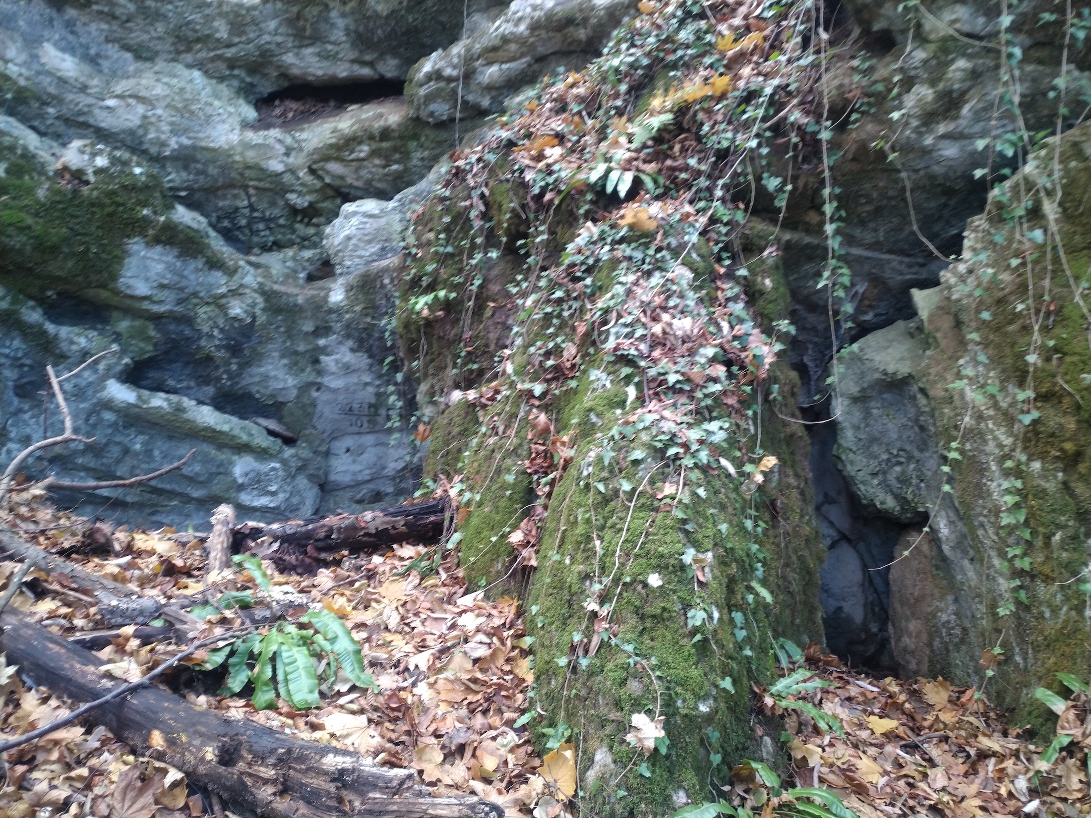 Pestera cu Meandre - Image 3